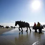 In By Sandy Beaches * Nieuwpoort