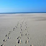 Daire In By Sandy Beaches Nieuwpoort