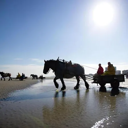 In By Sandy Beaches * Ньивпорт