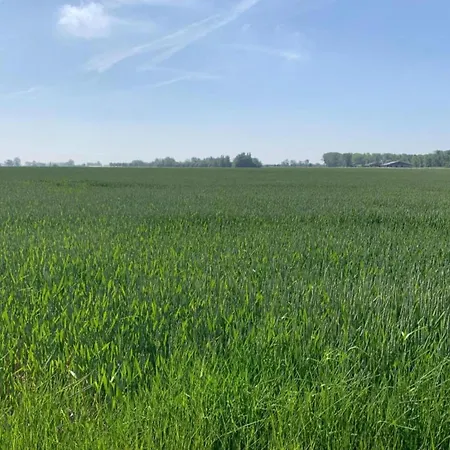 In By Sandy Beaches *