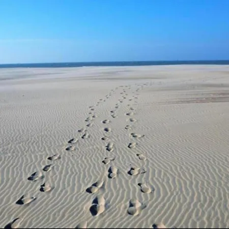 Appartement In By Sandy Beaches Nieuwpoort