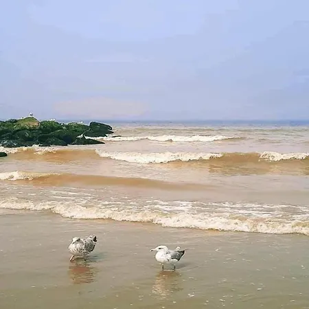 In By Sandy Beaches 公寓 尼乌波特