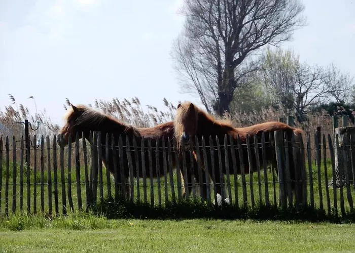 In By Sandy Beaches *