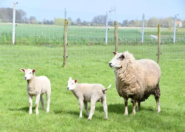 Apartment In By Sandy Beaches