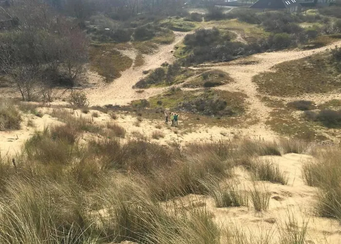 Apartment In By Sandy Beaches